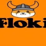 what-is-floki-ino-digital-currency