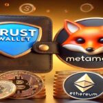 comparison-of-trustvolt-and-metamask